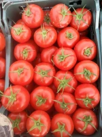 Tomatoes