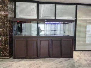 Large  fish tank glass aquarium living room dragon  dingju fish tank