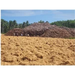 Coco Fiber