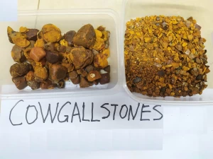Animal Gallstones for sale | Ox Cattle Cow Gallstones for sale online
