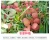 Import Agricultural and sideline products fresh potato fresh fruit litchi from China