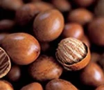 Shear Nut