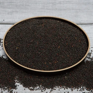 Dried Grape Seeds for Oil Extraction and Skincare | Wholesale Export