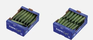 High Quality Fresh Vegetables