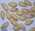 Import cucumeropsis mannii seeds(white melon seeds) from Ghana