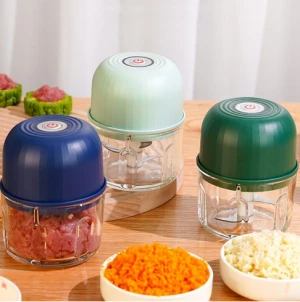 Mini Food Processor (3)