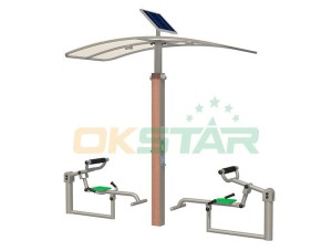ISO approved outdoor gym equipment Back trainer﻿
