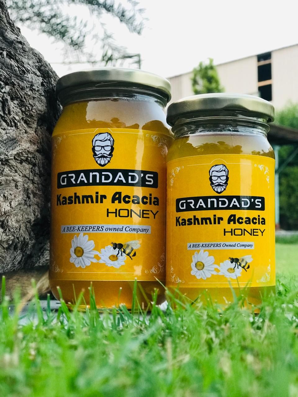 Buy Kashmir Acacia Honey from GMC Honey, India | Tradewheel.com