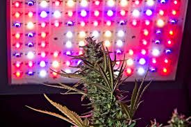 Buy Etl Certified New Design Full Spectrum 600w Best Led Indoor Plant ...