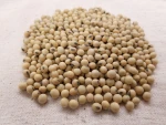 Yellow Soybeans Organic