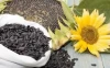 Sunflower Seed Protein and benefits,Application.