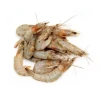Selling Fresh Frozen Whole Black Tiger Shrimp Prawn in Many Sizes Cheapest Price High Quality Large Quantity