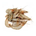Selling Fresh Frozen Whole Black Tiger Shrimp Prawn in Many Sizes Cheapest Price High Quality Large Quantity