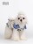 Import Monet Garden pet clothes from China