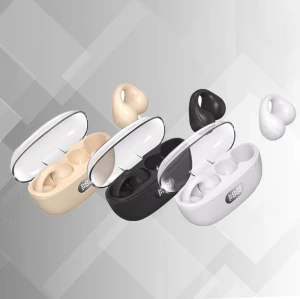 Earbuds B53