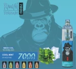 Randm Tornado 7000 puffs