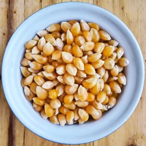 Fast Delivery Fresh Organic Non-Glutinous Yellow Corn Maize High Quality Raw Sweet Corn Seed Bulk 10 kg