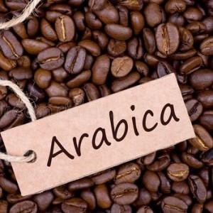 Roasted Arabica Coffee beans