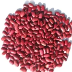 Red Kidney Beans for Cooking and Canning, Premium Grade Kidney Beans Supplier, Bulk Legumes Exporter