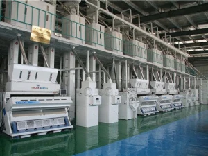 300T/D Rice Mill Plant