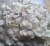 Import Dried fish scales from Vietnam