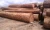 Import Mussivi / Doussie / Tali / Pacyloba Logs from Cameroon