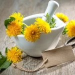 Organic Dandelion Root Extract