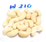 W 210 Grade Cashew Kernels