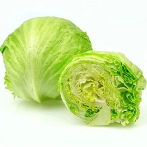 Egypt wholesale iceberg lettuce green fresh lettuce