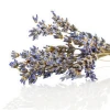 100% natural best price Chinese Organic Dried Lavender Flower