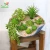 Import 10pcs Set Green Lotus Hanging Vine Succulent Plants Indoor Balcony Decoration Ornaments from China