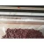 Import 110V/220V Food bag Vacuum saver Sealer household storage  plastic bag Vacuum Sealing machine from China