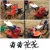 Import 170 Agriculture gasoline cultivator  tiller Multifunctional micro-tiller lawn mower furrow machine ridging machine from China