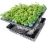 Import 2 Inch cloning hydroponic garden Plugs Machine Replacement seeding plant foam from China
