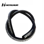 2 layers high pressure stain steel Wire braided hydraulic hose