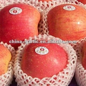 2012 China Fresh Apple Fruit