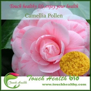 2017 Touchhealthy supply Pure Bee Pollen/Cell wall broken Camellia Sinensis Bee Pollen powder price