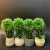 Import 2020 Artificial Plants Artificial Tree In Pots For Indoor Home Outdoor Landscaping Garden Decor from China