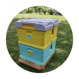 2020 New Beekeeping Equipment Thermo Turkey Beehive Plastic Bee Hive for Sale