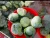 Import 2021 GAP Chinese fresh cabbage round/flat/purple  wholesale price  to Malaysia  UAE Canada Singapore from China