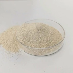 25kg l lysine with factory direct sale price