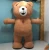 Import 2.5M Teddy Bear Mascot Costume Inflatable Customize Mascot Costume For Adult Animal Costume Brown 2.5m tall from China