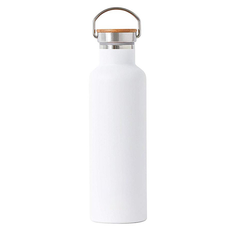 Buy 25oz Stainless Steel Water Bottle Double Wall Vacuum Insulated ...