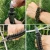 2IN1 Outdoor Paracord Emergency Survival Bracelet with Tactical Knife Tool Camping Hiking