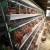 Import 30 years lifetime egg hen battery chicken cage layer poultry farm from China