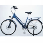 36V 250W Folding Electric City Bike Road Bicycle Pedal AssistNew Model