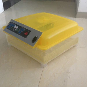 48 Eggs Portable Chicken Egg Incubator with Good Quality & Lower Price