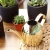 Import 500ML Gold Small Metal Indoor Outdoor Garden Tools Cylinder Plants Watering Can/Pots from China