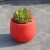 7x7cm Color Mini Plant Small Flower Pot For Office Decoration Home Decoration Mini Pp Resin Plastic Plant Small Flower Pot TSLM1