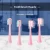 Import Accessories of Sonic Electric Plastic Toothbrush With Mwgnetic Levitation Motor Brush Head from China